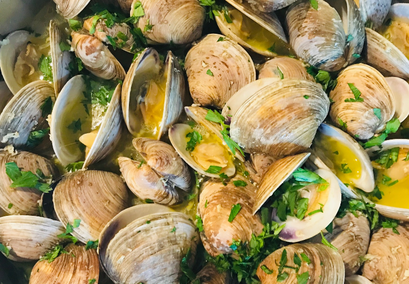 clams in NZ