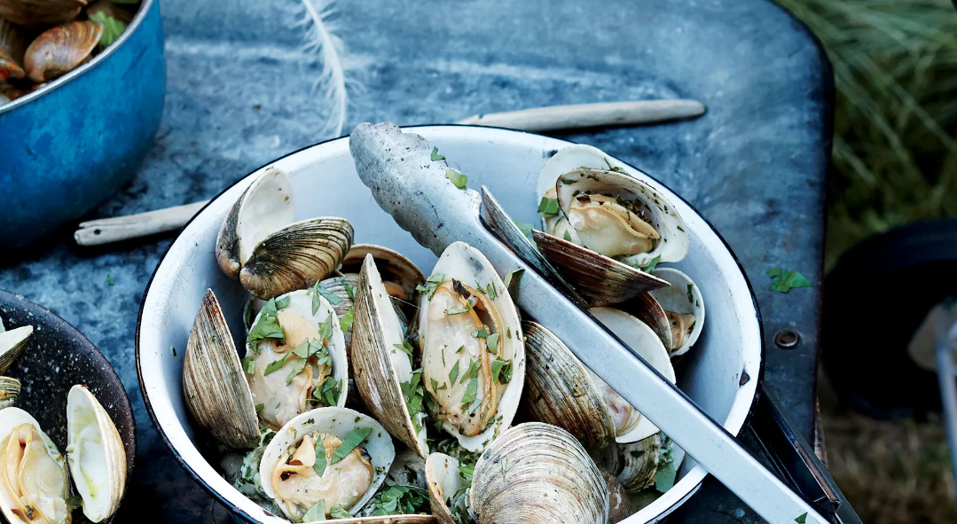 clams in NZ